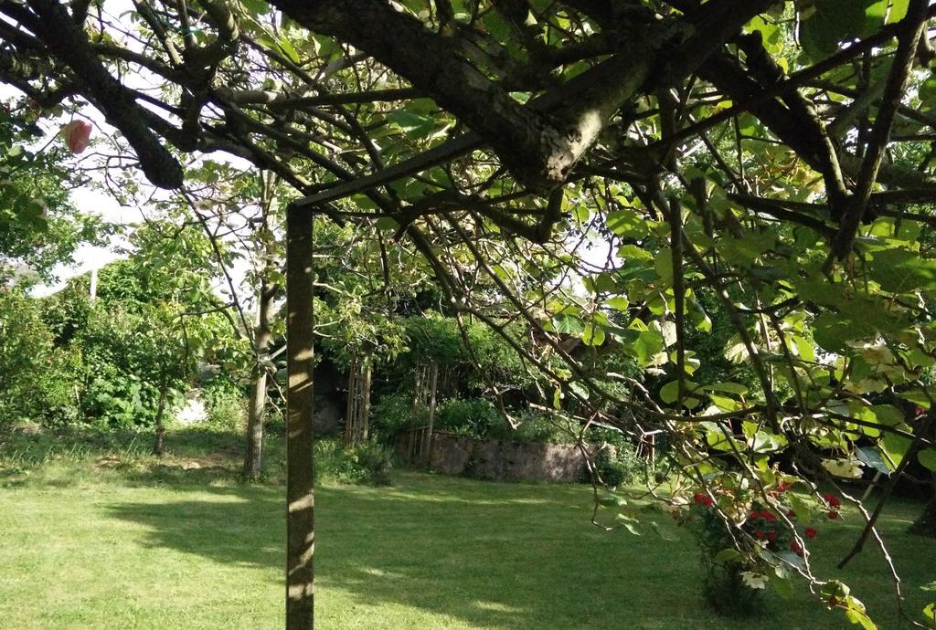 Gentil'Home - Toulouse B&B Prestige Fenouillet  ภายนอก รูปภาพ